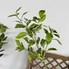Bosque Escandinavo Verde Planta Verde Hoja Verde Techo de Salón de Bodas Mimosa Plástico Flor Falsa Hierba de Amante Eucalipto
