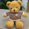 Oso de Peluche Muñeco Relleno Juguete Oso para Vestir Muñeco Regalo de Cumpleaños para Mujeres 8 Pulgadas Máquina de Garra Muñeco Fabricante Venta al por Mayor