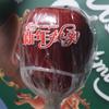 Pegatina decorativa navideña transparente con marca de agua, feliz Nochebuena, regalo de manzana y fruta, etiqueta decorativa.