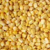 Milho Doce em Grãos Congelado do Fabricante Original para Uso Atacadista em Pratos de Arroz, Bolinhos, Saladas; Liquidação por Tempo Limitado de Grãos de Milho Congelados