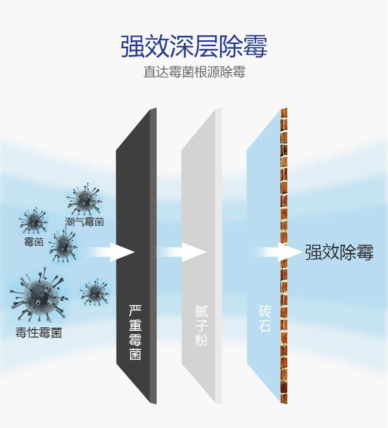 强效除霉剂5L-790_05.jpg