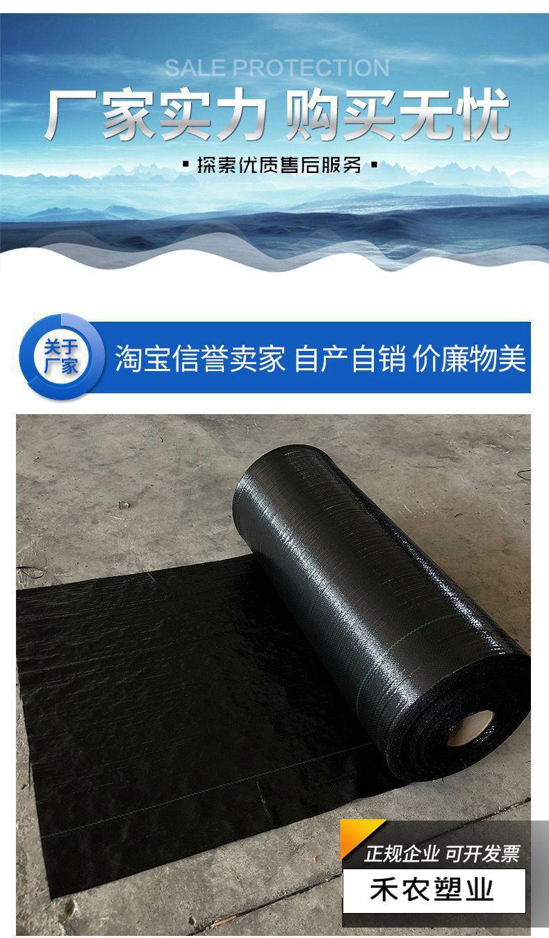 微信图片_20230412210432_副本