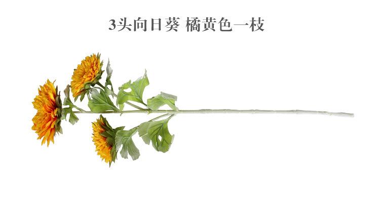 3头向日葵.jpg