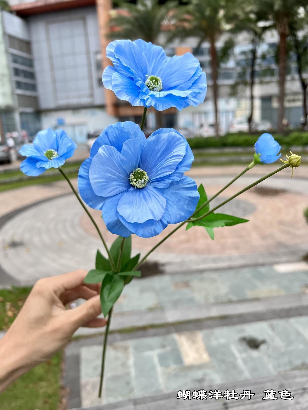 微信图片_20220419092317.jpg
