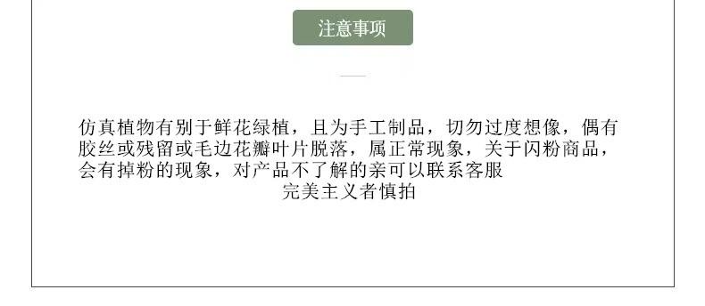 微信图片_20241119190505_副本