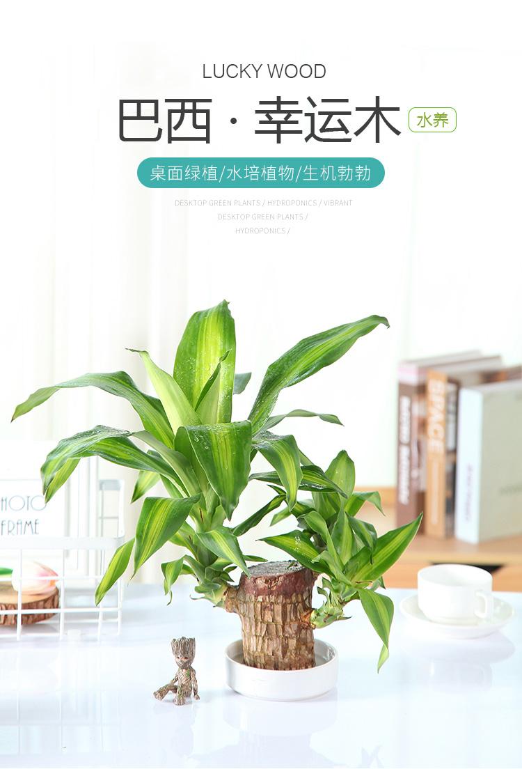 gm6WifKnzdTvlDvRUnfQczwOJhTGv3tfutsr