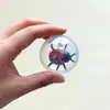Brinquedo de gato simulado com mosca, bola transparente rolante, autoentretenimento, alivia o tédio, estimula instintos de caça, para brincadeiras interativas internas