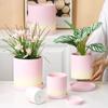 Maceta Escandinava Simple Transpirable Cerámica Sin Esmaltar Porosa Redonda Maceta para Flores Maceta para Plantas Suculentas Maceta de Cerámica con Soporte Se Puede Vender al Por Mayor