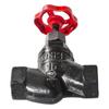 Válvula de Cierre Roscada de Hierro Fundido J11T-16 Válvula de Cierre Roscada de Hierro Núcleo de Cobre Dn15 20 25 32 40 50