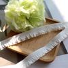 Cuello puño doble capa hongo blanco encaje elástico banda elástica ropa dientes de perro hecho a mano diy decoración