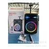 Suministro en stock de fábrica, anillo de lámpara deslumbrante de caballo de carreras de colores, micrófono inalámbrico Bluetooth, control remoto de karaoke, altavoz de varilla de tracción de alta potencia