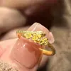 Libro de Caperucita Roja Explosiones Rosa Pequeño Espíritu Anillo de Serpiente Método Antiguo Pequeña Flor Dorada Anillo del Año de la Serpiente del Zodíaco