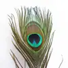 Proveedores de Fabricantes de Artículos de Origen Suministran Bolígrafos Lindos, Bolígrafos de Pluma de Pavo Real Seleccionados, Bolígrafos de Pluma Natural Pura