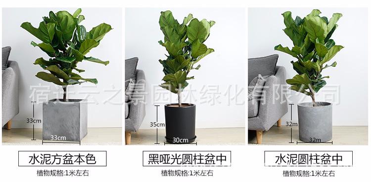鐞村彾姒曡缁?3