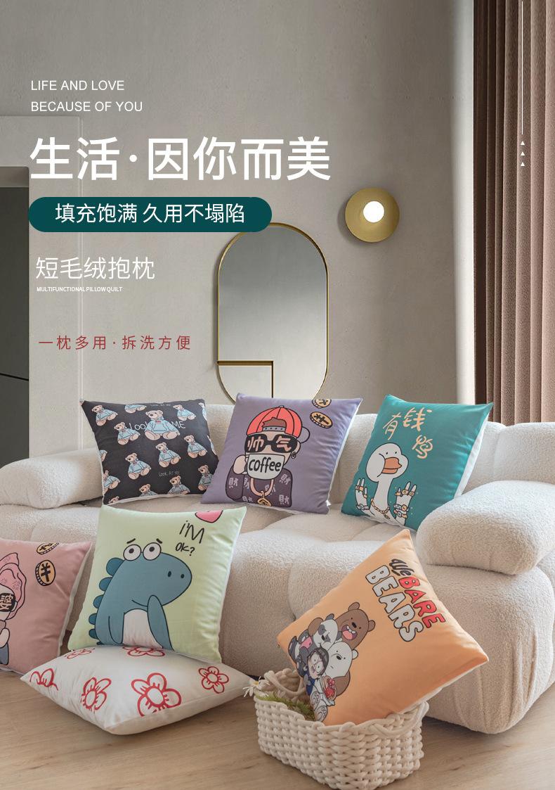 短毛绒抱枕_01.jpg