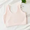 Roupas Íntimas Infantis para Período de Desenvolvimento, Camisetas Regata para Adolescentes, Algodão Puro para Alunos do Ensino Fundamental, Sutiãs Infantis para Puberdade de Meninas