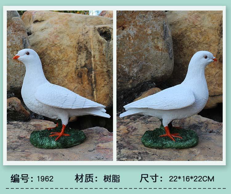 鸽子_10.jpg