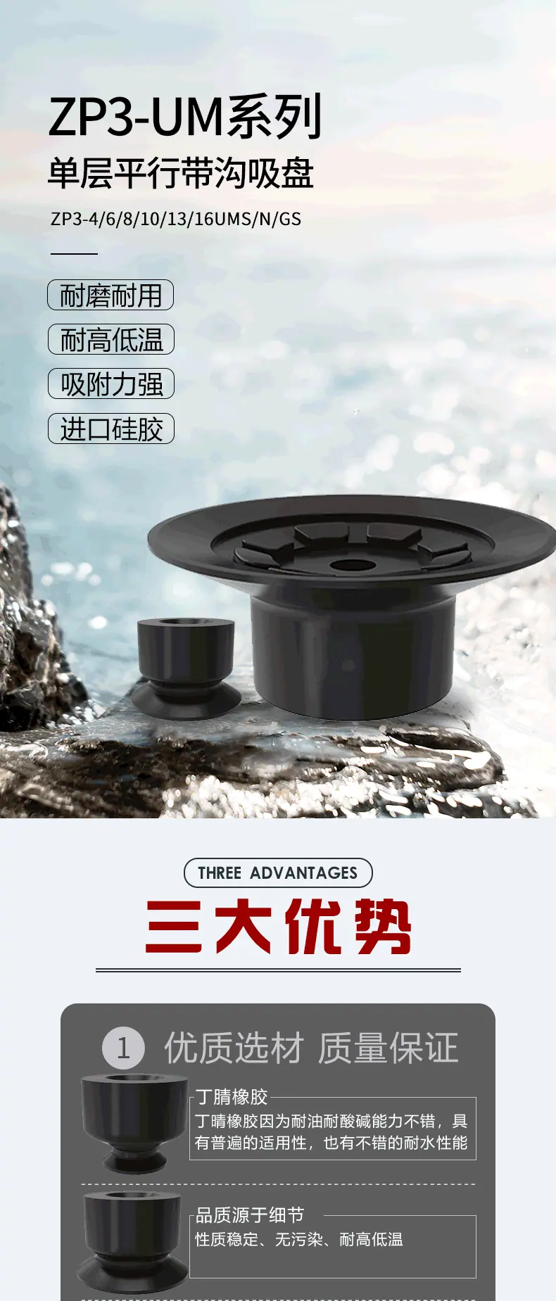 ZP3子链接_01