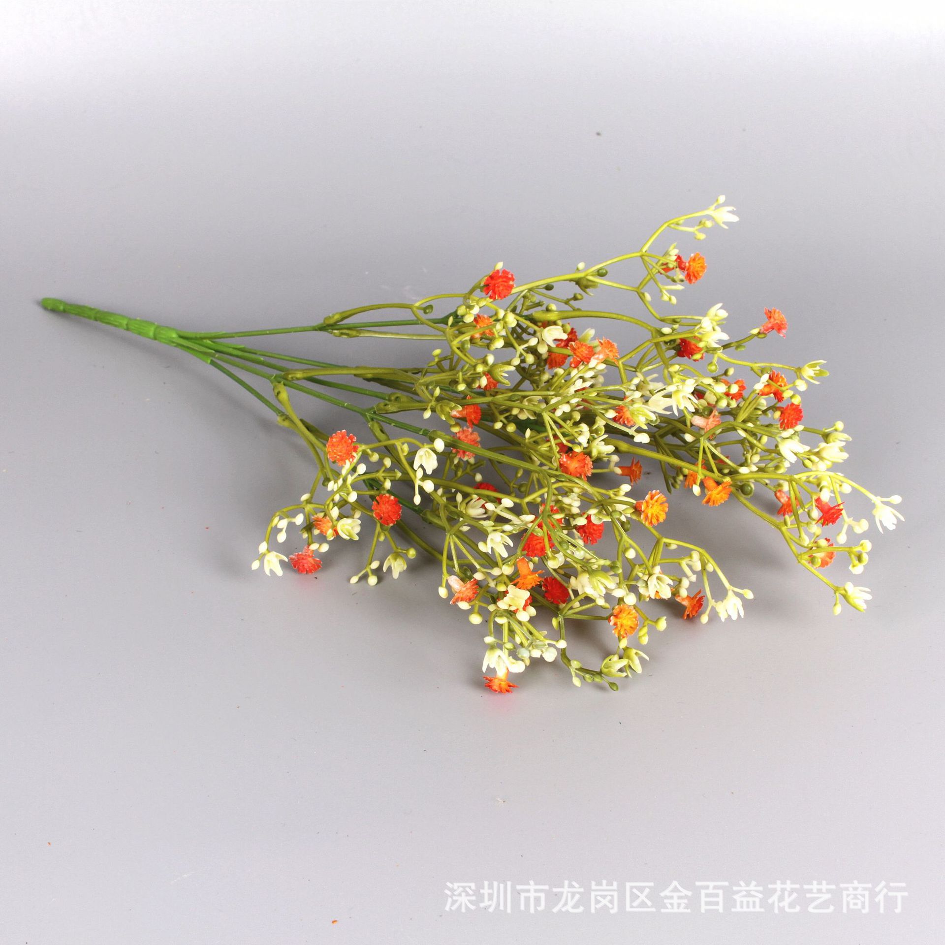 IMG_0558_副本.jpg