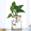 Atacado vaso de vidro transparente rosa verde garrafa de vidro hidropônico sala de estar criativo pequeno fresco enfeites de mesa vaso de flores decorativo