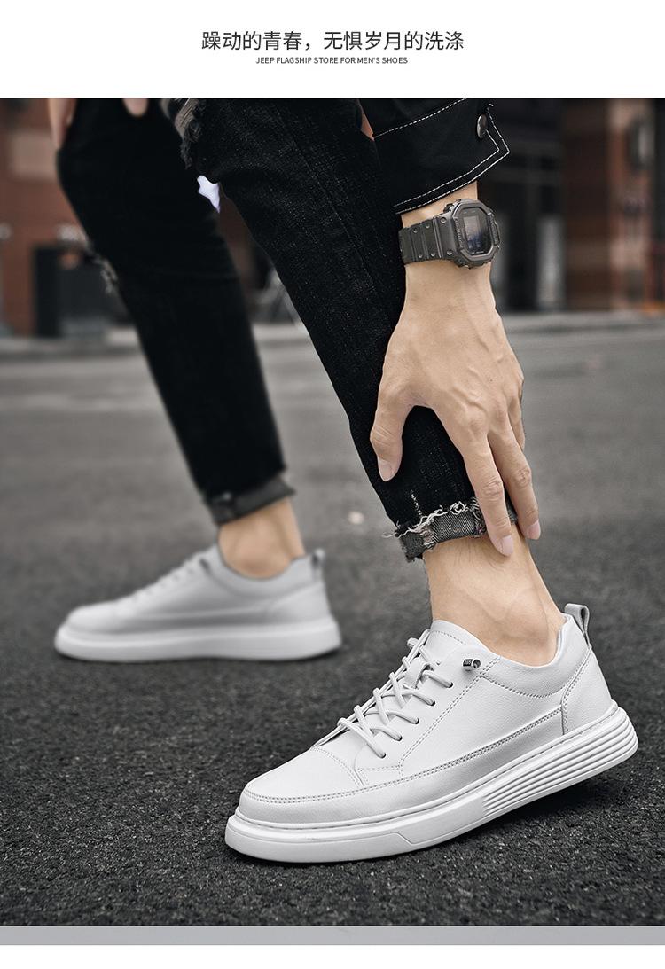 01-02-2_08.jpg?x-oss-process=image/format,png