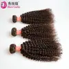 Peruca Xuchang Atacado Europeu e Americano Cabelo Humano Real Castanho Cacheado Kinky Extensão de Cabelo Humano