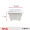 Vaso para Sedum Plantio Transfronteiriço Vaso para Mudas de Suculentas Vaso de Flores de Plástico Quadrado Pequeno Vaso para Plantas Verdes Vaso Quadrado Preto Tipo para Mesa