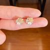 Pendientes de perlas con diseño de lujo y luz de aguja plateada, estilo coreano, elegantes, nuevos y con explosiones, de nicho.