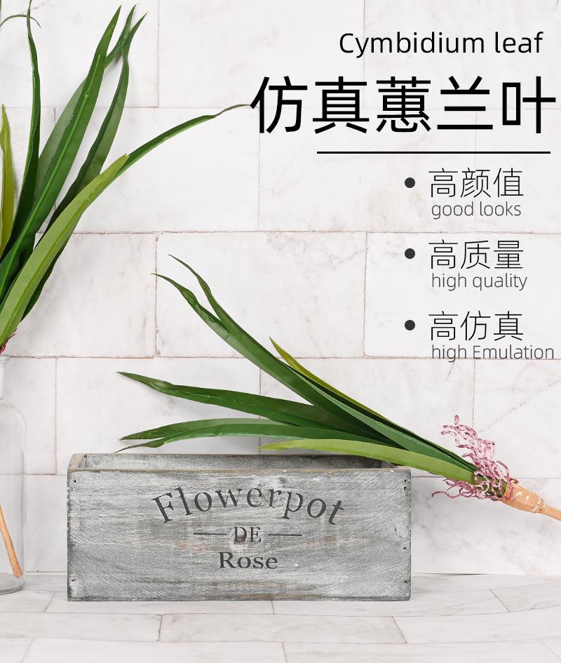 详情页_01.jpg