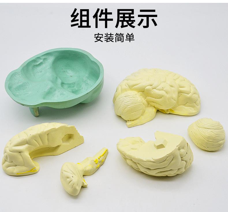 详情_05.jpg
