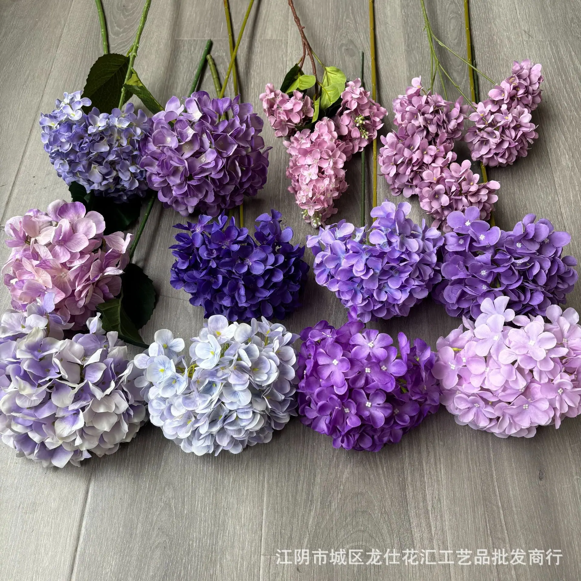 合集2.jpg