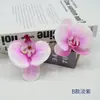 Filme Phalaenopsis Flor Pequena Alta Simulação Sentir Phalaenopsis Férias de Verão Processamento de Acessório de Cabeça DIY Chapéu de Formatura