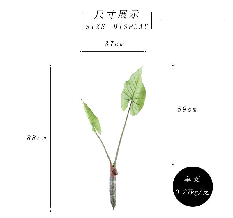 尺寸展示.jpg