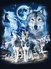 Venda internacional de animais de cavalo e alce da Amazon TEMU pintura de diamante pintura decorativa adesivo pintura de diamante pintura de alvenaria