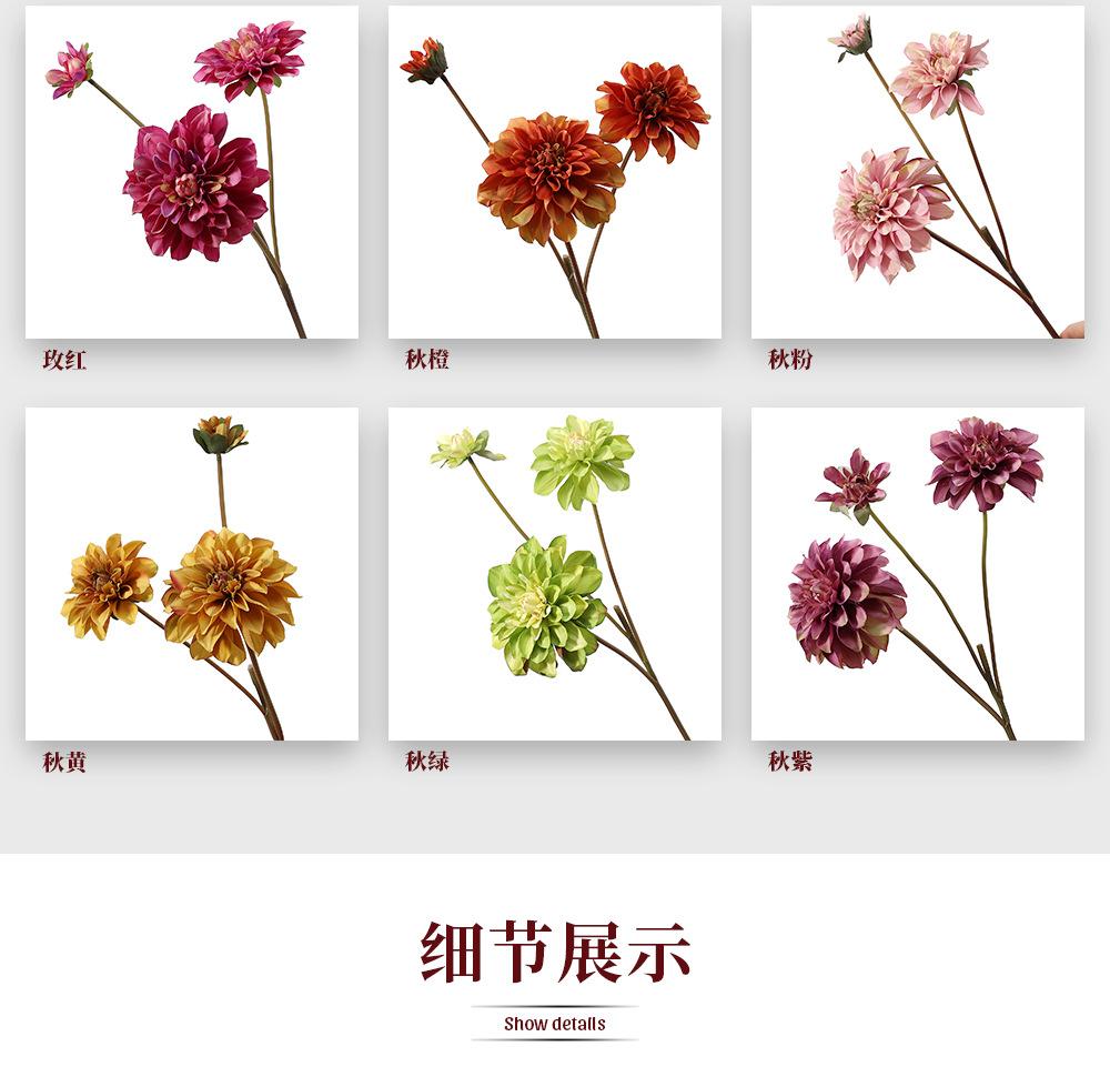2-13.春秋3头大理花_05.jpg