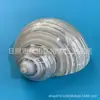 Cangrejo Ermitaño Concha de Repuesto Concha de Caracol Natural Manualidades Acuario Tanque de Peces Caracol Pequeño Luminoso Caracol Pequeño Verde Pelado