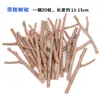 Materiales de Rama, Decoraciones de Piñas, Ramilletes de Ramas Secas, Manualidades de Tronco y Rama para Árboles de Preescolar DIY, Pinturas Creativas de Madera Natural