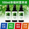 Solução Nutricional Concentrada Especial para Árvore da Felicidade, Fertilizante em Vaso para Planta Ornamental Verde Grande de Interior, Suplementa Nutrientes de Nitrogênio, Fósforo e Potássio