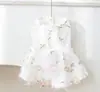 Primavera e Verão Novo Vestido de Fada Bordado Tridimensional Boneca de Pano Azul Gato e Cachorro Saia Roupa de Gato de Estimação