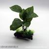Plantas aquáticas artificiais, aquário, paisagem, suprimentos para hotel, sushi, utensílios de mesa, decoração, simulação, tecido com sensação de mão alta, folha
