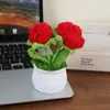 Flor de ganchillo tejida a mano rosa burbuja planta en maceta decoración de escritorio regalo creativo colgante de flor de hilo