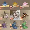 Pinza para el pelo floral versátil y elegante, única y colorida, pinza de tiburón de moda para la parte trasera de la cabeza, accesorio para el pelo tipo pinza de garra dulce diario estilo coreano