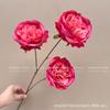 Rosa Austin de Três Cabeças Rosa Búlgara Arranjo de Flores para Casamento Adereços para Fotografia Arranjo de Flores Rosa Decorativa