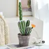 Bonsai de combinação de cactos, flores artificiais, plantas tropicais, plantas em vaso, decorações de interior, cactos suculentos de alta qualidade para vendas transfronteiriças