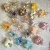 Clipes de Cabelo Temáticos de Comida Populares de Yiwu, Artigos Pequenos, Acessórios para Bancas de Rua, Vendidos por Quilo, Acessórios de Cabelo [Plano] Instruções de Compra Não Aplicáveis