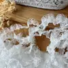 Accesorios de Encaje de Borde Delgado de Gama Alta, Cinta Decorativa para Tarjetero, Cinta para Ropa Lolita, Diadema para Ropa de Muñeca, Materiales Hechos a Mano