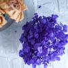 Hortensia Inmortal a Granel Hortensia Anna a Granel Pétalo Flor Seca Flor Inmortal Material Hecho a Mano Decoración Accesorios de Regalo