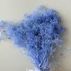 Proveedor de Flores Fábrica de Yunnan Flores para Boda 50g Gypsophila Million Star Ramo de Flores Secas Venta al por Mayor Arte de Flores Eternas