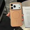 Capa para Celular Iphone18Promax Suave e Macia Sucção Magnética Cor Sólida Sensação de Pele Adequada para Apple 17 Simples PC Anti-Queda
