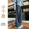 Pantalones casuales para otoño e invierno, forrados de polar, nuevo estilo 2026, de pierna ancha, versátiles para ir al trabajo, con un tacto relajado, favorecedores y cálidos, adecuados para usar al aire libre